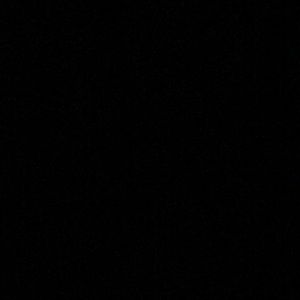 Meet your Posher, Amelia